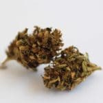 Blue Cheese - CBD 11,7%
