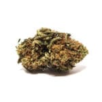 Mango Haze