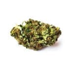 Biscotti (drivhus) CBD 15-18%
