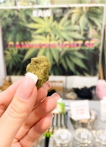 Gedroogde hennepbloem op de stand van Raw Hemp op North Grow