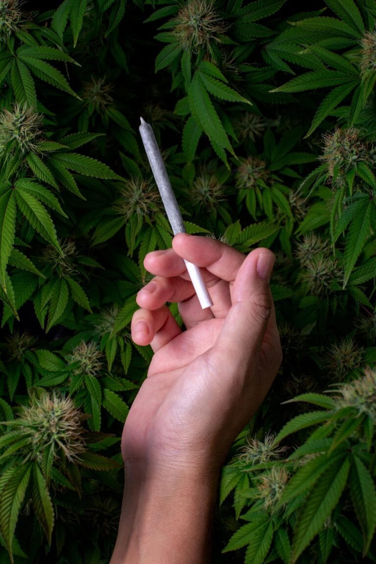 Hand met een joint van gerolde kruiden