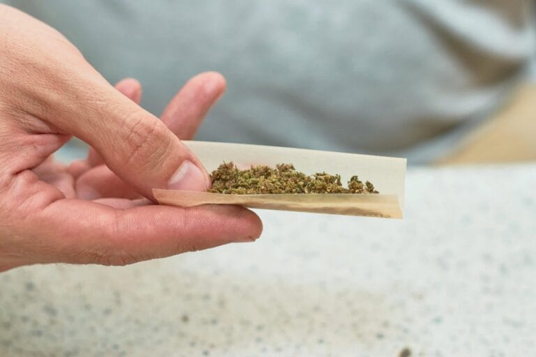 Feuille à rouler avec herbes