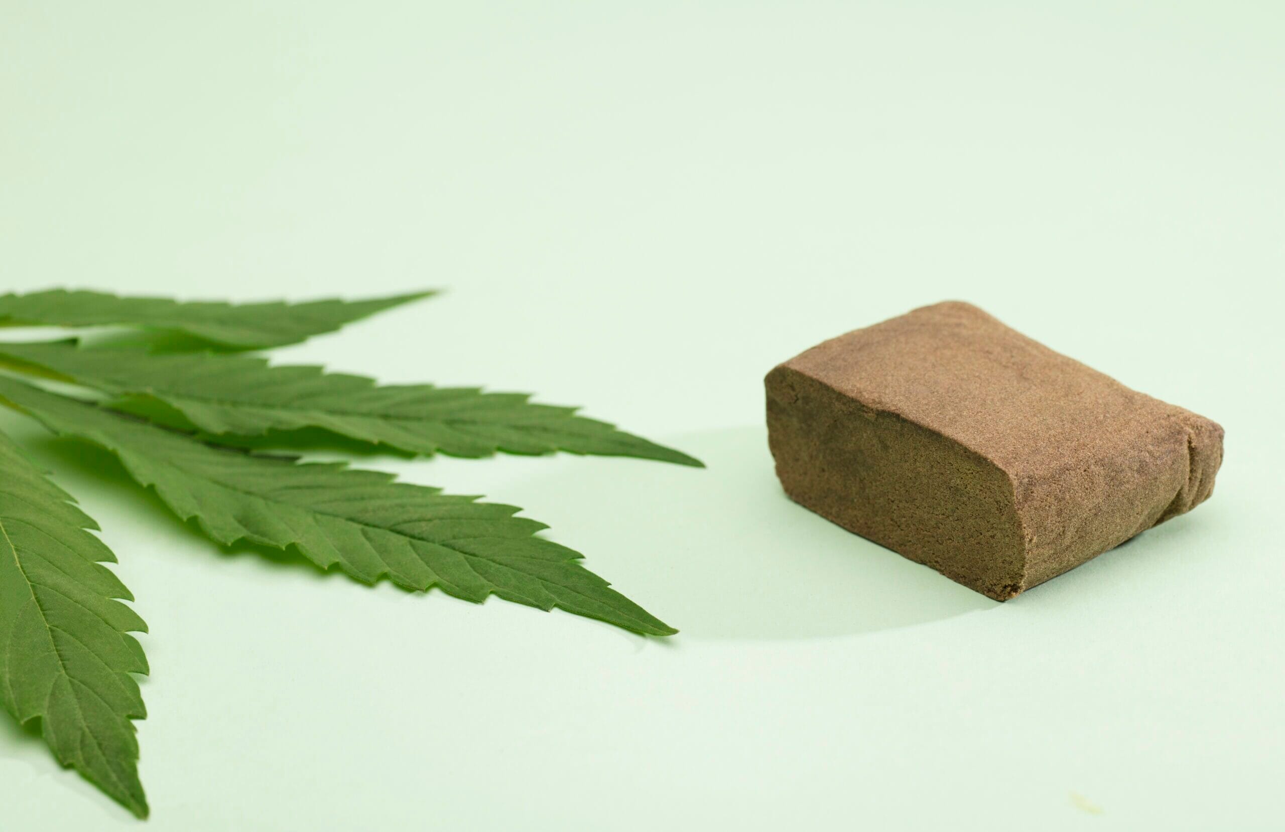 Et stykke presset hash ved siden af et cannabisblad