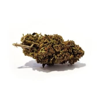 Dream Queen CBD-kukka