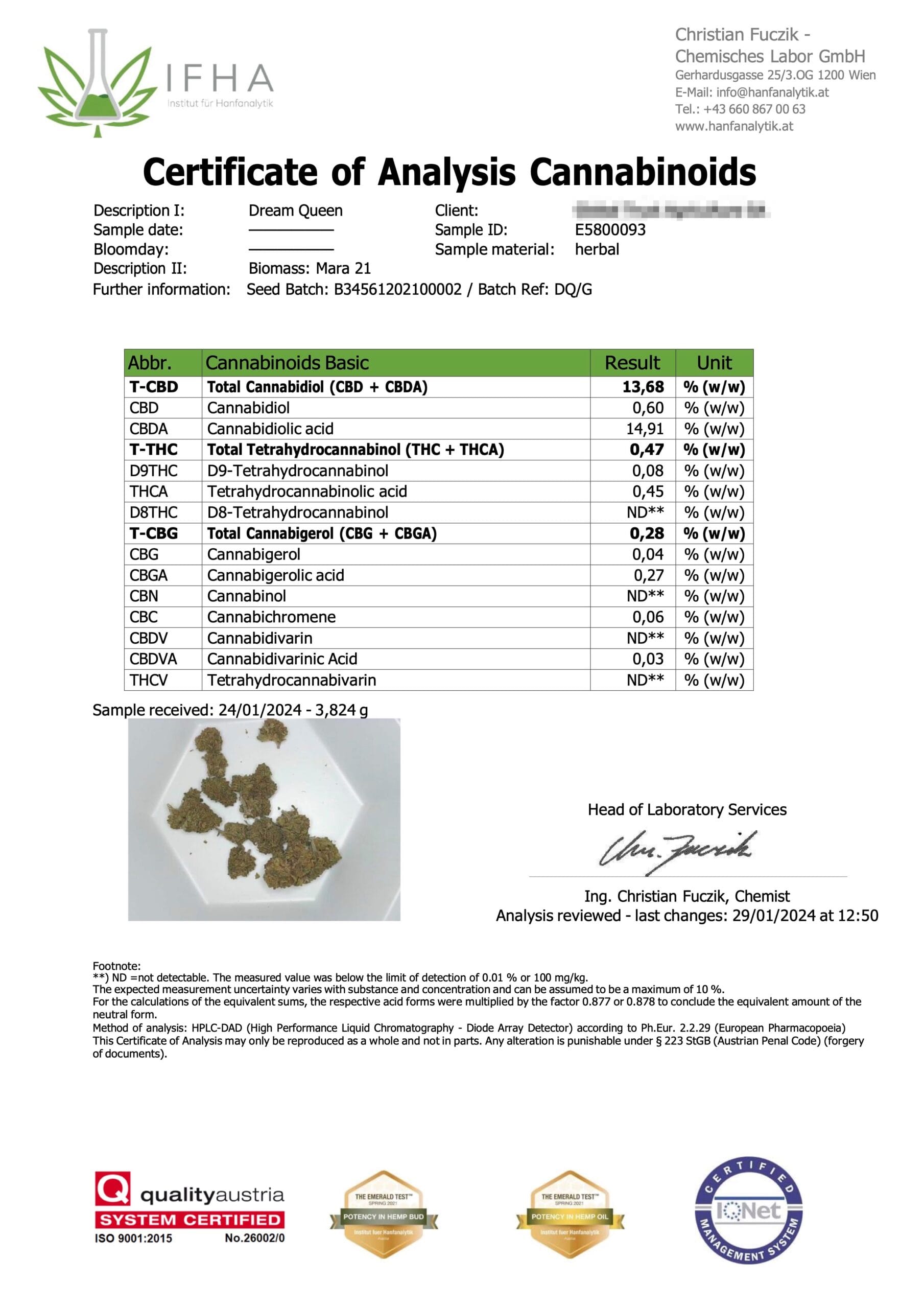 Rapport d'analyse « Dream Queen » (COA)