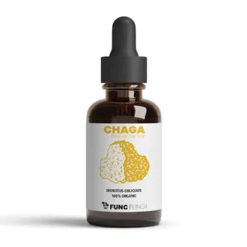 Chaga-tinktur