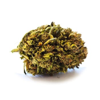 Kush Kush cbd-blomst