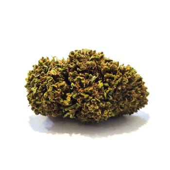 Fleur de CBD à la mangue