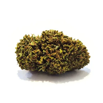 Mango CBD -kukka