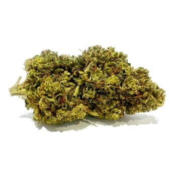 Fleur de CBD « Cheese Quake »