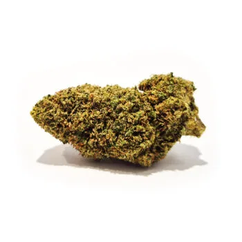 Super Silver Haze -kukka