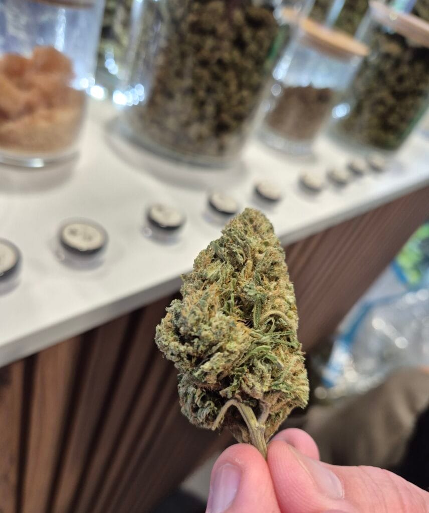 CBD Kukka lähikuva