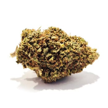 Allium CBD Flower