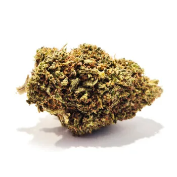 Allium CBD Kukka