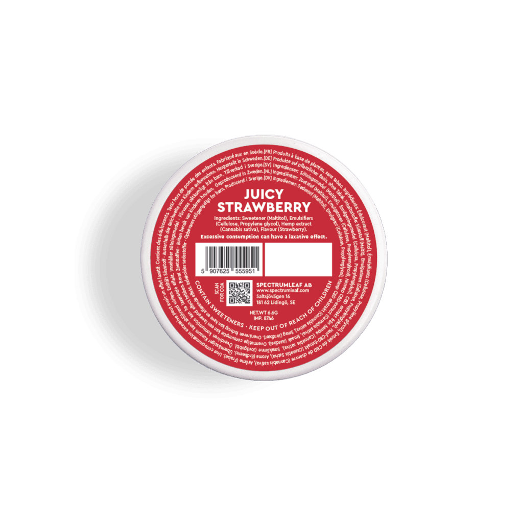 Voon Strawberry – powrót