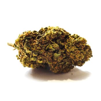 Blueberry CBD
