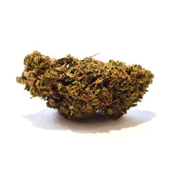 Black Cherry Gelato CBD-kukka