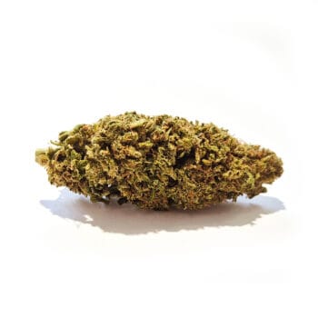 Fruit Cake CBD-kukka