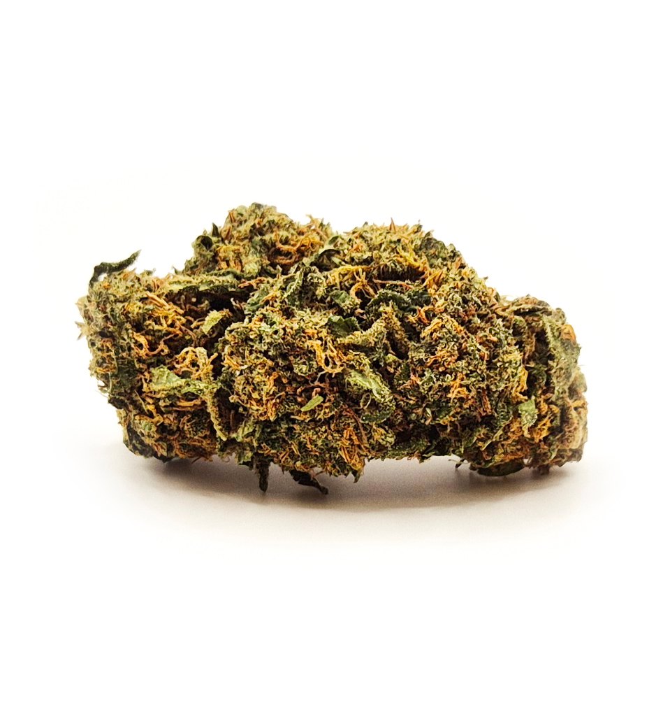 Raspberry CBD flower with dense buds and orange pistils