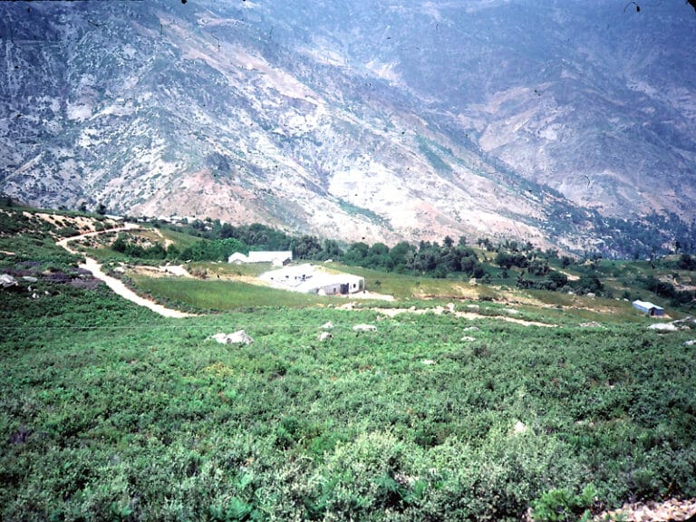 Cannabis fields in the Rif Mountains of Morocco in 1985