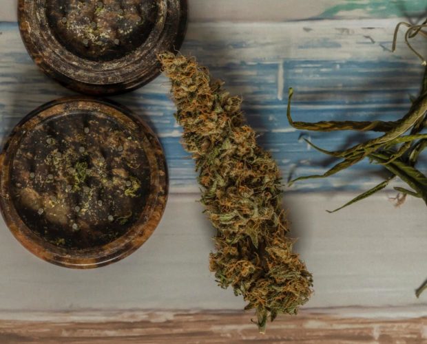 Cannabis en la historia
