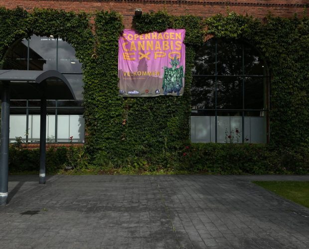 Expo cannabis