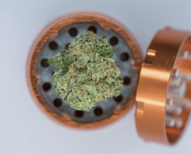 Broyeur de cannabis