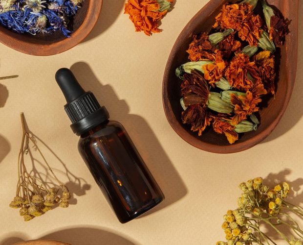 Qu'est-ce que le terpener ?